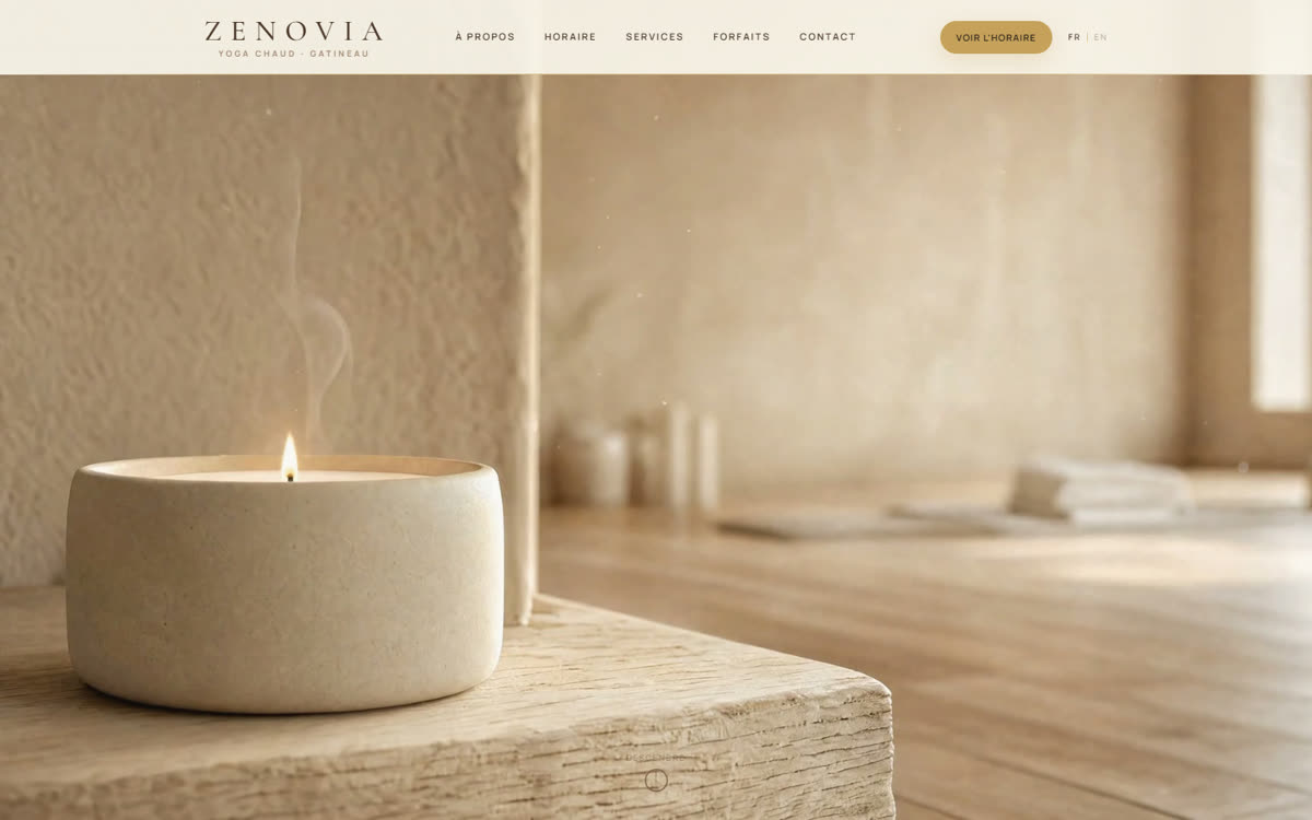 Zenovia website homepage